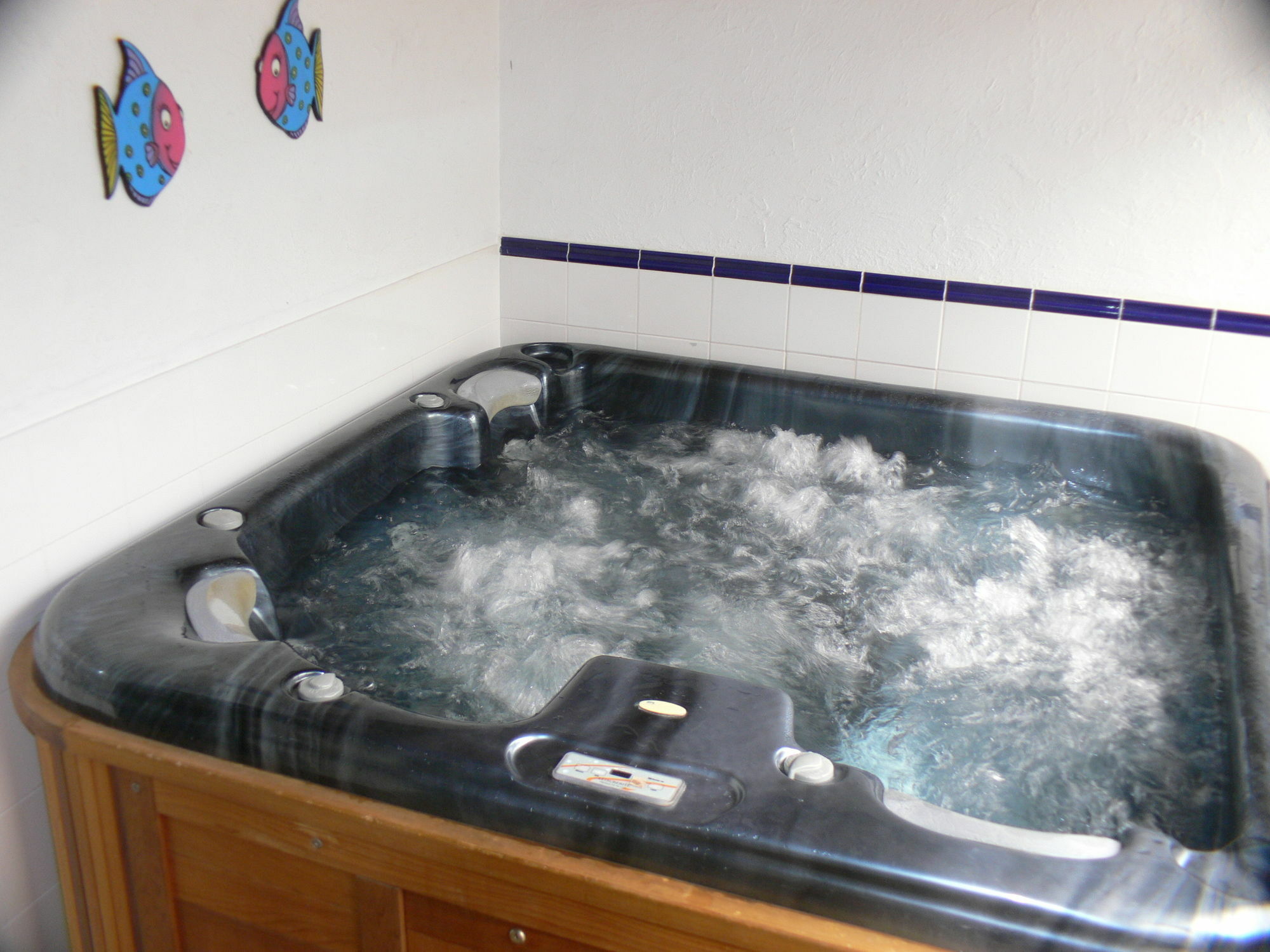 Swiss Chalet Lodge Motel Paihia Extérieur photo