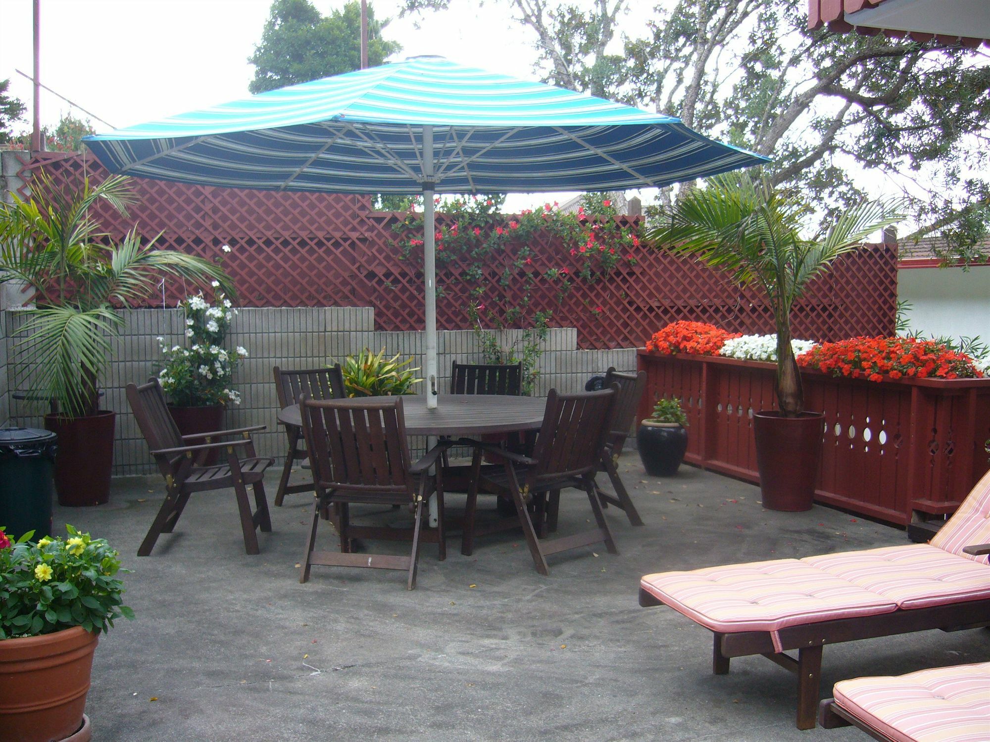 Swiss Chalet Lodge Motel Paihia Extérieur photo