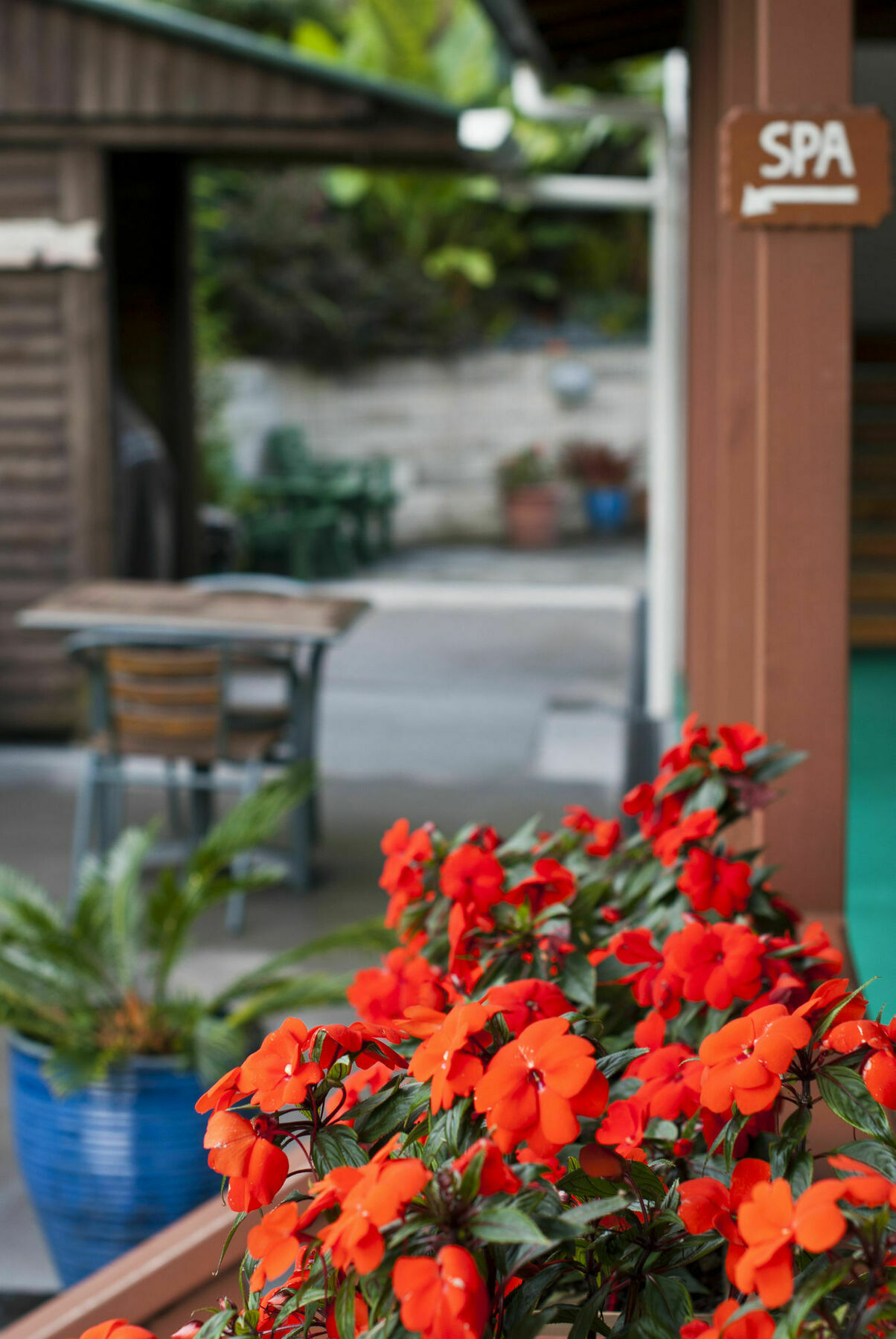 Swiss Chalet Lodge Motel Paihia Extérieur photo