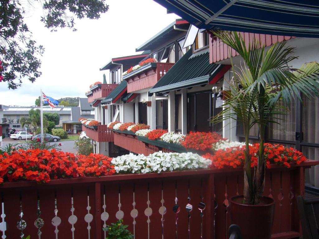 Swiss Chalet Lodge Motel Paihia Chambre photo